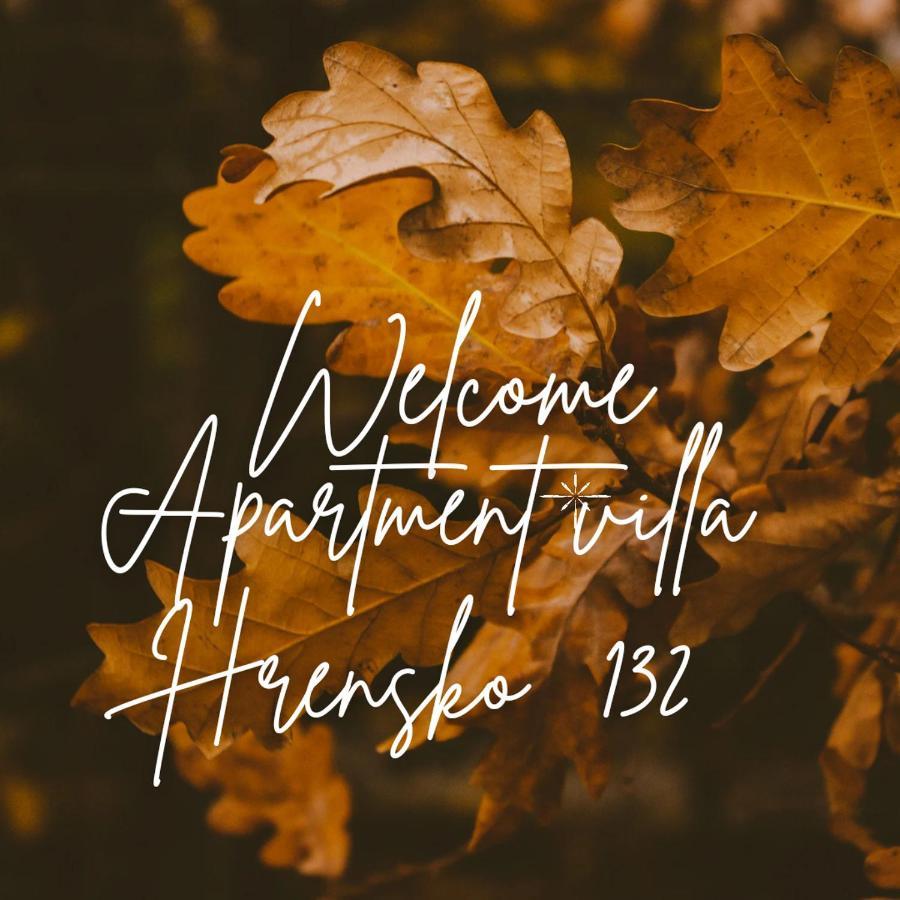Apartment Villa Hrensko 132 외부 사진
