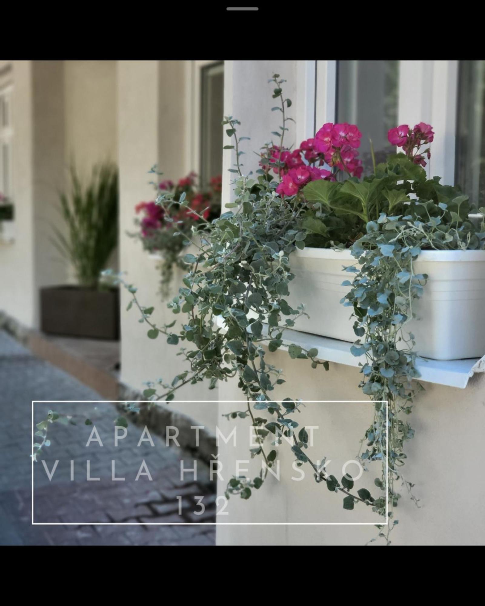 Apartment Villa Hrensko 132 외부 사진